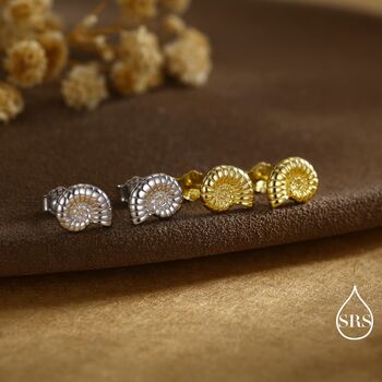 Sterling Silver Ammonite Shell Stud Earrings, 6 of 12