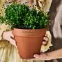 Bespoke Personalised Terracotta Flower Pot, thumbnail 1 of 2