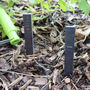 Printed Herb Slate Plant Marker Set Of Six, thumbnail 3 of 6
