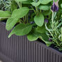 Mela Wide Black Ribbed Planter, thumbnail 5 of 7