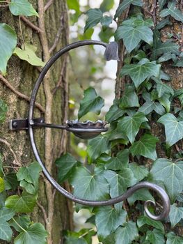 Three Hour Garden Making Experience, 3 of 6