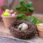 Easter And Spring Natural Tablescape In A Box, thumbnail 10 of 12