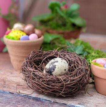 Easter And Spring Natural Tablescape In A Box, 10 of 12