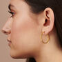 Demeter Medium Hoop Earrings, thumbnail 1 of 3