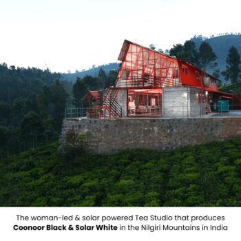 Artisan Tea Explorer Collection, 11 of 11