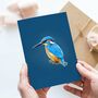 Illustrated Kingfisher Birthday Card, thumbnail 1 of 2