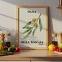 Italian Olive Art Print Poster, Tuscany Italy, Fruit, Hand Drawn, thumbnail 3 of 4
