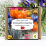Gardening Gift. Cactus Growing Kit, thumbnail 1 of 7
