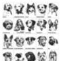 Personalised Dogs Lead Holder, thumbnail 6 of 6