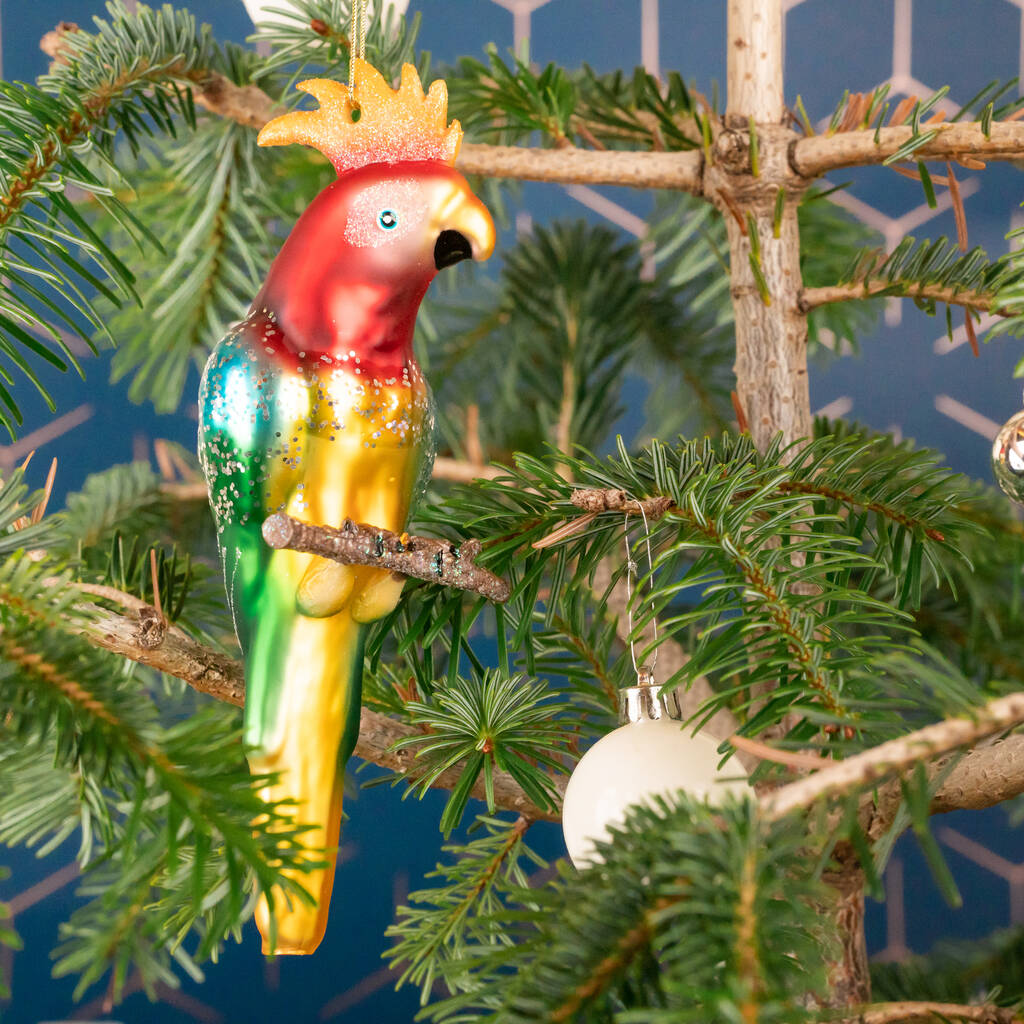 Colourful Parrot Glass Baubles By Posh Totty Designs Interiors ...