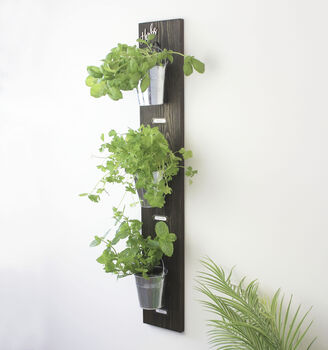 Large Wall Hanging Herb Garden, 4 of 7