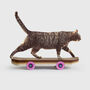 Cat Scratch Skateboard, thumbnail 1 of 5