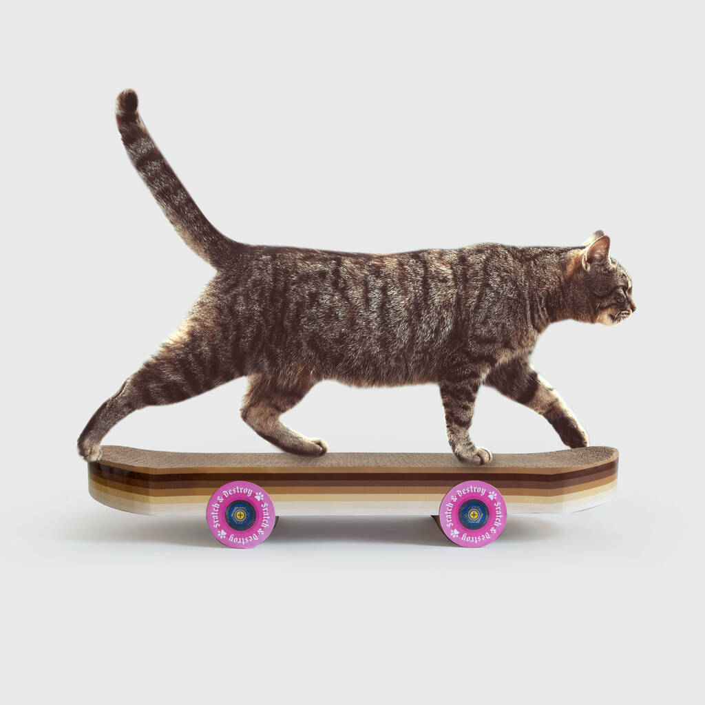 Cat Scratch Skateboard, 1 of 5