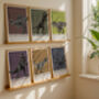 Dinosaurs Predator Series Set Of Six Art Prints, thumbnail 1 of 12