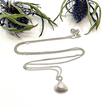 Seashell Necklace In Sterling Silver, 3 of 12
