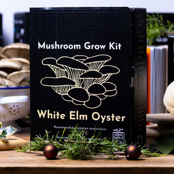 Oyster Mushroom Growing Kit, 4 of 11