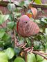 Metal Robin Redbreast Garden Stake – Bird Ornament, thumbnail 2 of 8