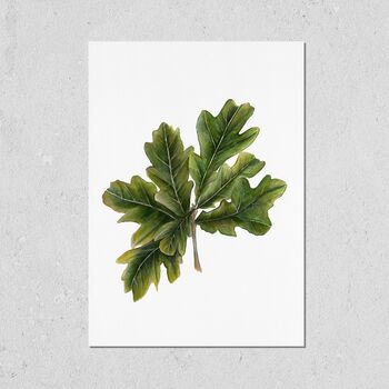 Oak Leaves A3 Fine Art Print, 3 of 3