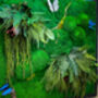 Moss Wall Art With Preserved Flowers, thumbnail 5 of 12