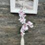 White And Pink Phalenopsis Orchid In Tall Slim Vase, thumbnail 6 of 8