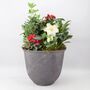 Premium Winter Planter In Antique Slate Pot, thumbnail 3 of 3