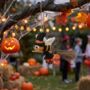Handmade Felt Bee Witched Decoration, thumbnail 1 of 3