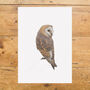 Barn Owl Giclée Art Print, thumbnail 2 of 3