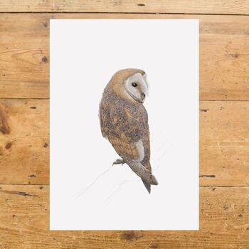 Barn Owl Giclée Art Print, 2 of 3