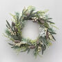 White Berry And Fir Cone Wreath, thumbnail 1 of 2