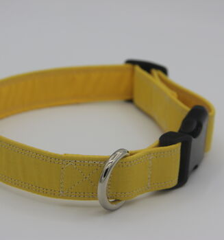 Yellow Dog Collar, 9 of 10