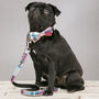The Marple Red Checked Dog Collar Bow Tie And Lead Set, thumbnail 6 of 6