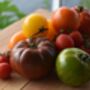 Grow Your Own Tomatoes Starter Kit, thumbnail 4 of 4