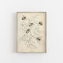 Gift For Bee Lovers Vintage Giclée Print, thumbnail 2 of 5