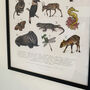 Limited Edition 'Vulnerable Species' Alphabet Print, thumbnail 12 of 12