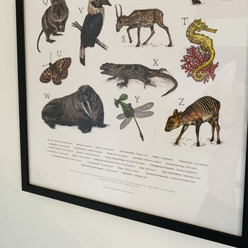Limited Edition 'Vulnerable Species' Alphabet Print, 12 of 12