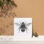 Cephei The Bee Luxury Blank Greeting Card, thumbnail 3 of 5