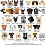 Personalised Dog Tag And Collar Gift Set, thumbnail 9 of 12