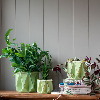 Three Origami Self Watering Eco Plant Pots, 9 of 12