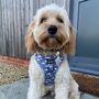 'Cotton Trails' Adjustable Dog Harness, thumbnail 1 of 5