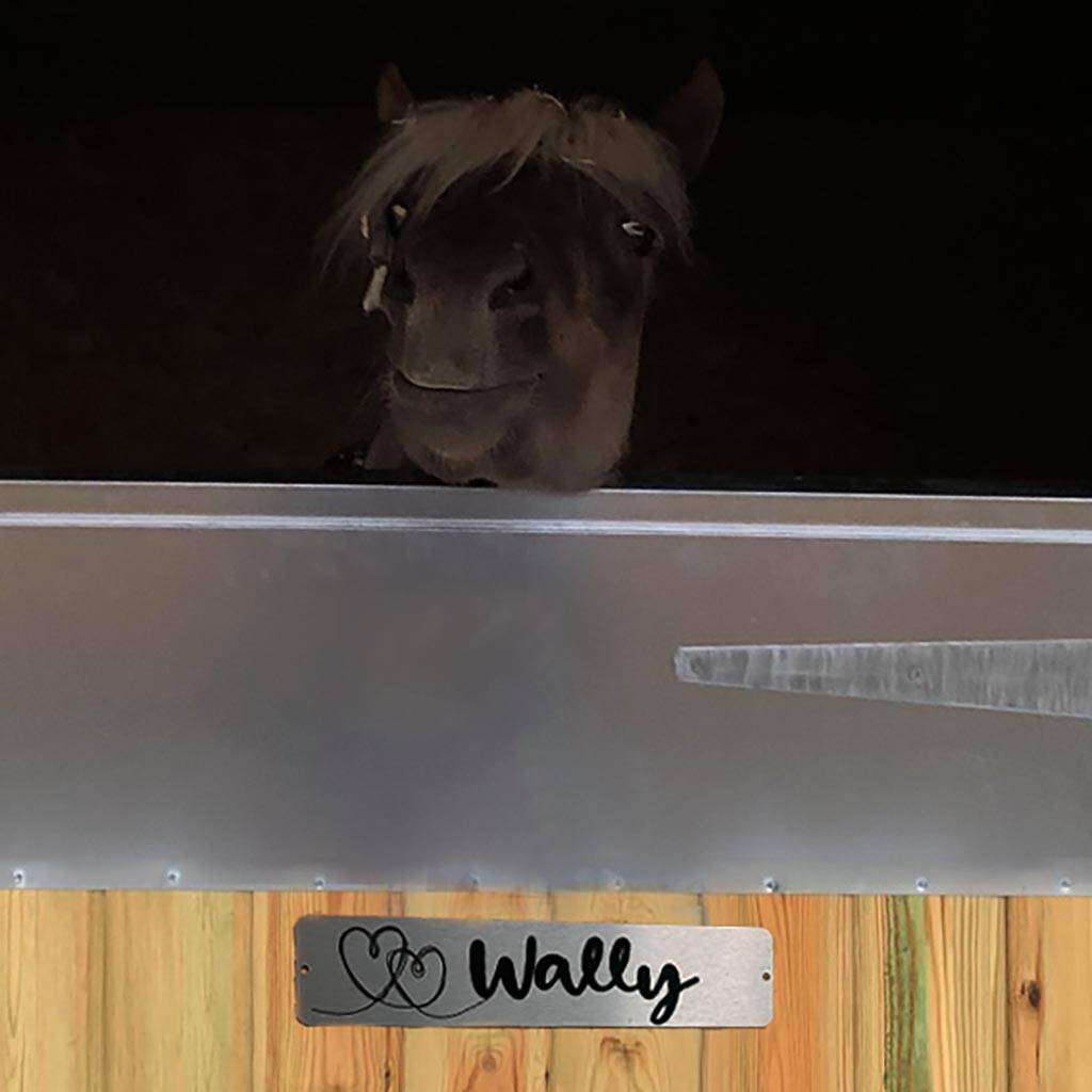 Image of Personalised Stable Door Name Plate Silver Heart