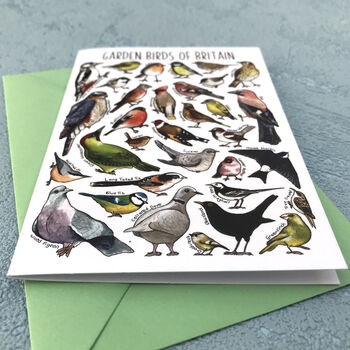 Garden Birds Of Britain Art Blank Greeting Card, 8 of 11