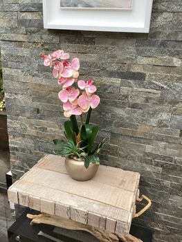 Large Pink Phalenopsis Orchid In Gold Bowl, 7 of 7