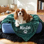 Personalised Green Pet Blanket, thumbnail 2 of 5