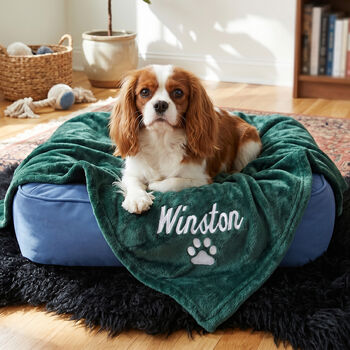 Personalised Green Pet Blanket, 2 of 5