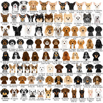 Personalised Party Dog Christmas Present Stocking, 5 of 12