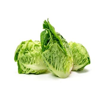 Salad Plants Lettuce 'Little Gem' 12 X Full Plant Pack, 2 of 8