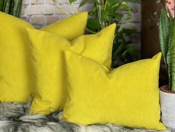 Sunshine Yellow Velvet Cushion, 8 of 12