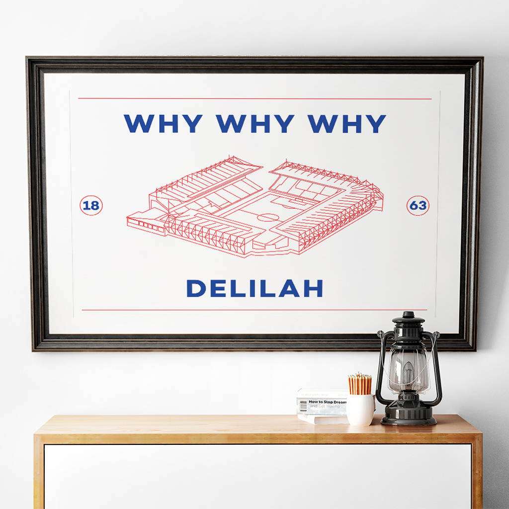 why-why-why-delilah-football-stadium-print-by-twelve-twelve-design