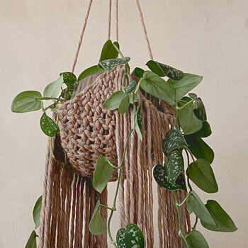 Amber Hanging Basket, 2 of 4