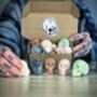Dead Ed's Skull Wax Melts Box Of Five Mixed Scents, thumbnail 1 of 3